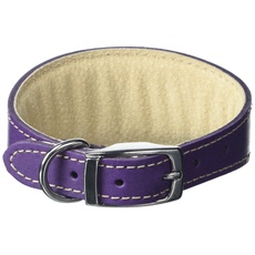 BBD Pet Products Whippet Halsband, Einheitsgröße, 1,9 x 25,4 bis 30,5 cm, Violett