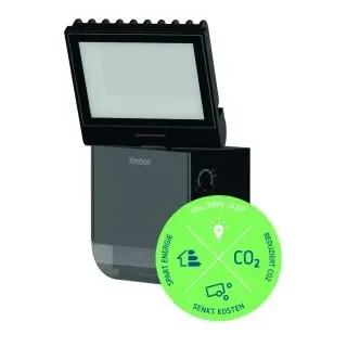Theben 1020801 LED-Strahler mit Bewegungsmelder, schwarz, 4000 K, 900 lm theLeda S8-100 BK
