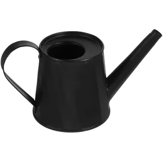 TOYANDONA Kleiner Gießkanne für Zimmerpflanzen mit Praktischem Griff Kompakte Größe als Blumentopf für Sukkulenten und Kleine Räume Schwarze Metall Blumengießkanne