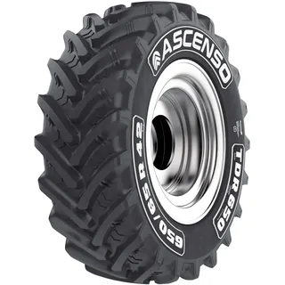 Sommerreifen Ascenso 600/65 R38 159D TDR650