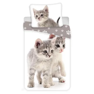 Leinen-Fotodruck Kitten grau 140x200, 70x90 cm - Beige, Weiß, Grau