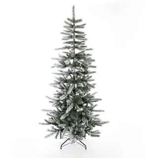 Evergreen Weihnachtsbaum Cedar Kiefer Frost 210 cm