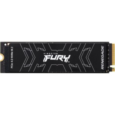 Bild Fury Renegade 500 GB M.2
