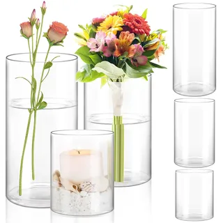 APACALI 6 Stück Glasvase Gross, 10/15/20cm Hoch Blumenvase Zylindrisch, Klar Glasvase Rund Schmale Vase klarem, Glas Blumenvase für Orchideen, Rosen, Tulpen, Pampasgras, Tischdeko, Kerze