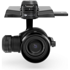 DJI RAW ZENMUSE X5R (Schutzfolie, Kamera, Inspire 1), Drohne Zubehör, Schwarz