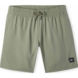 O'Neill Future Surf Society 14'' Swim Shorts deep lichen green (16011) 164