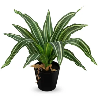 Arborus Kunstpflanzen im Schwarzen Topf 35 cm Künstlicher Drachenbaum Unechte Pflanzen Künstliche Grünpflanzen für Tisch Regal Deko im Wohnzimmer Schlafzimmer Badezimmer Küche Hotel Büro