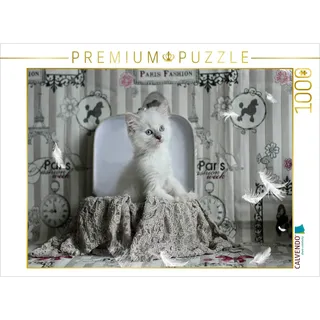 Calvendo Puzzle Ein Motiv aus dem Kalender Samtpfoten Momente mit Shabby Chic & Vintage Flair 1000 Teile Lege-Größe 64 x 48 cm Foto-Puzzle für glückliche Stunden