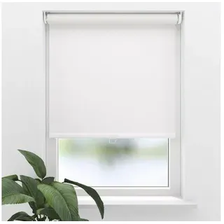 SOLUNA Springrollo Verdunkelung weiß 190x190 cm