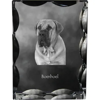Boerboel - Kristall mit einem Hundebild, Glasstatuette mit einem Bild, einzigartiger Bilderrahmen der Marke Art-Dog