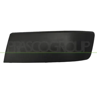 PRASCO Zier-/Schutzleiste, Stoßfänger VG9191244