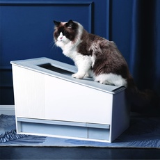 Honey Care Selbstreinigende Katzentoilette, Scope-Free Automatische Katzentoilette für Mehrere Katzen, APP & Alexa Voice System Smart Secure Control, Mattweiß