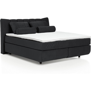 Mivano Free Boxspringbett mit Durchgehender Matratze (H2) und Basic Topper, Velours Cosy Anthrazit, Liegefläche 140 x 200 cm