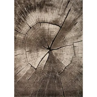 Webteppich , Graubraun , Textil , Holzoptik , rechteckig , 160x230 cm , ISO 9001, Bsci, Oeko-Tex® Standard 100 , für Fußbodenheizung geeignet, in verschiedenen Größen erhältlich, pflegeleicht, leicht zusammenrollbar , Teppiche und Böden, Teppiche, Webteppiche