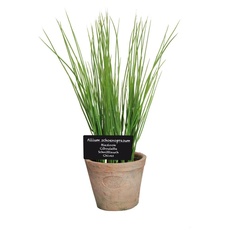 Esschert Design Kunststoffpflanze Schnittlauch im Topf, Größe L, ca. 11 cm x 11 cm x 19 cm