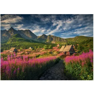 Dino Puzzle Landschaft Gasienica Tal 1000 Teile Karton