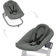Bild Babywippe & Newborn Aufsatz Premium für Alpha & Beta ab Geburt - 2in1 Babyaufsatz für Neugeborene mit 5-Punkt-Gurt, verstellbarer Rückenlehne & Baumwolle (Dark Grey)