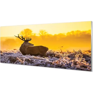 Glasbilder 125x50 Wandkunst Deer Winter Sonnenaufgang - Gelb