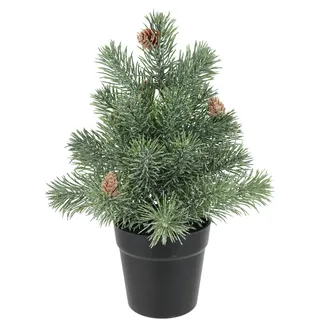 Flair Flower Künstlicher Mini-Tannenbaum mit Zapfen im Topf Grün 32 cm