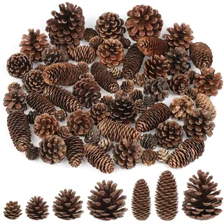 Larber 65 Stück Weihnachten Tannenzapfen Groß Mittlere Mini Natürliche Tannenzapfen Zapfen Anzapfen Deko Weihnachten Kiefernzapfen für Handwerk DIY Hochzeit Weihnachtsbaum Herbst Winter Dekoration