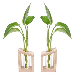 2 Stücke Reagenzglas Vase aus Holz, Hydroponische Vase mit Holzrahmen, Reagenzglas Blumenvase, Verwenden Sie zu Office Home Decoration, Geschenk für Hochzeit Geburtstag