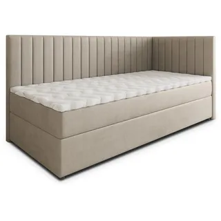 masseno Aris 100 x 200 cm H2 Beige