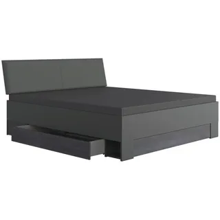 WIMEX Stauraumbett Kopenhagen, Bett 160 x 200 cm BQ - Schwarz