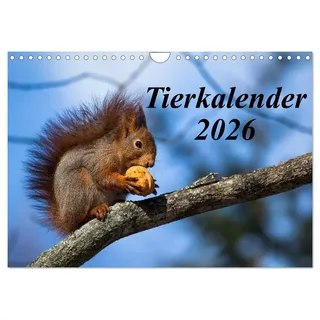 Tierkalender 2026 (Wandkalender 2026 DIN A4 quer), CALVENDO Monatskalender: Eine Auswahl phantastischer Tierfotos (CALVENDO Tiere)