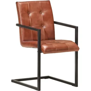 VidaXL 3059819, Schaum, Echtes Leder, Stahl, 510 mm, 560 mm, 910 mm, 45 cm, 46,5 cm - Braun
