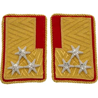 Kragenspiegel OBR / mit Goldkordel