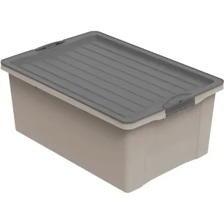 Rotho Stapelbox Compact A3 38 l Cappucchino