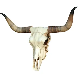 Longhorn Rinderschädel Wanddeko XXL Realistische Longhorn Schädel Replik mit Hörnern aus Polyresin – Western Deko, Cowboy Wanddekoration & rustikaler Blickfang für Wohnzimmer Bar Jagdzimmer