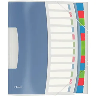 Esselte 624030 Ordnungsmappe VIVIDA, A4, PP, 12 Fächer, mehrfarbig
