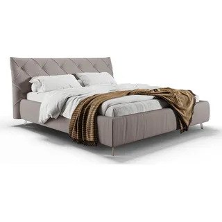 KAWOLA Bett ANNY Polsterbett Kopfteil niedrig Leder grau 160x200cm - Grau