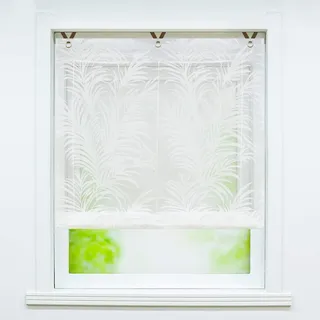 Joyswahl Voile Ösenrollo Transparenter Raffrollo mit Feder Ausbrennerqualität »Alisha« Schals Fenster Gardine mit Hakenaufhängung, Raffrollo ohne Bohren BxH 45x130cm 1 Stück