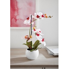 Bild Kunstorchidee »Ernestine«, Kunstpflanze, im Topf, rosa