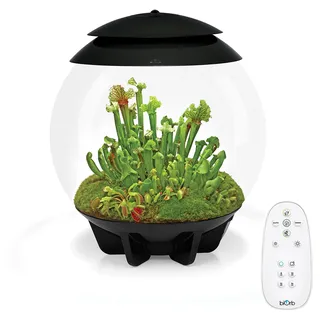 biOrb 72558 AIR 30 schwarz - Terrarium mit LED-Beleuchtung, Acryl-Becken zur Pflanzenpflege, für empfindliche und exotische Pflanzen