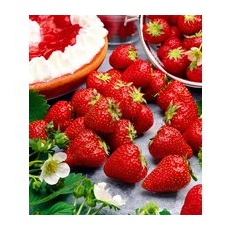 Immertragende Erdbeere 'Hummi® Meraldo HZ'