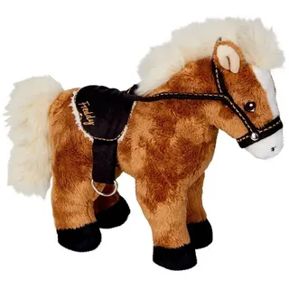 Coppenrath Verlag Coppenrath 16927 - Die Spiegelburg - Pferdefreunde 1