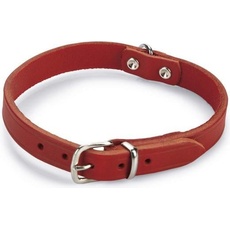 Beeztees BZ LEDERHALSBAND ROT 42X16 (Hund, Allgemein), Halsband + Leine