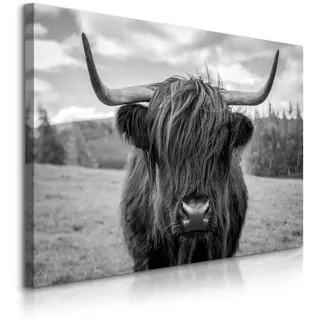 Muralo Leinwandbild Schwarzweiß Schottische Kuh Tier Landschaft 3D 30/20 cm , Textil , Tiere , Rechteckig , 30x20 cm , Bilder & Rahmen, Bilder, Leinwandbilder