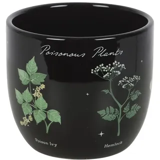 something different - Blumentopf Poisonous Plants
