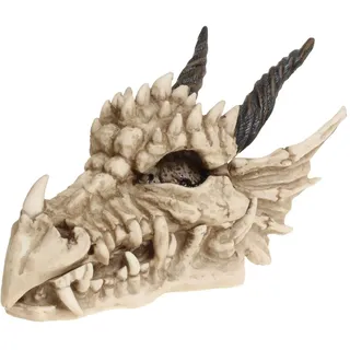 Nemesis Now Dragon Skull Box Unisex Dekoartikel Standard Polyresin Drachen, Gothic, Horror