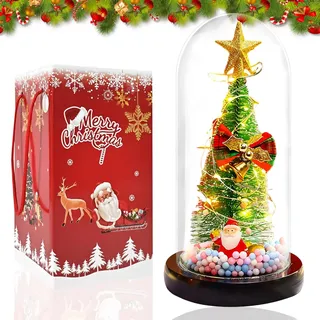 Weihnachten Deko Weihnachtsmann mit licht mini Weihnachtsbaum in Glaskuppel Weihnachtsdeko Innen Tischdeko Weihnachts Geschenke Winter Deko