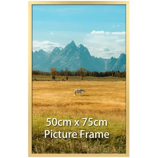 Vasemouh Bilderrahmen 50x75 cm, 1 Stück Bilderrahmen in Gold, geeignet für 75x50 cm Fotos, Poster und Kunstwerke, passend zur Wandmontage in Hoch- und Querformat