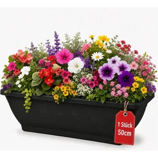 BigDean 1x Blumenkasten Mit Abnehmbarem Untersetzer Anthrazit 50 Cm Lang Aus Bruchsicherem Kunststoff Pflanzkasten Mit Wasserspeicher Für Innen Und