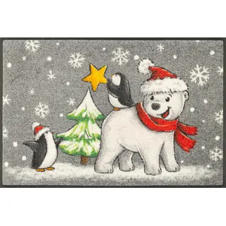 Wash+Dry by Kleen-Tex Fußmatte »Polar Friends« rechteckig 7 mm Höhe, bunt,