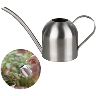 Gießkanne aus Edelstahl, klein, lange Öffnung, Gießkanne für Haus, Innen- und Außenbereich, Garten, Sukkulenten, 500 ml (Silber)