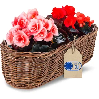 Creative Home Pflanzkasten Weidenblumentopf dunkel mit Folie | Blumenkasten | ähnlich wie Rattan | Balkon Blumentopf 35 x 11 x 11 cm (+/- 2 cm) | Blumentopf Blumenübertopf | Weidenkorb für Topfblumen