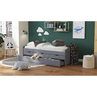 Interlink Inter Link Funktionsbett Lena 90 x 200 cm Holz Grau